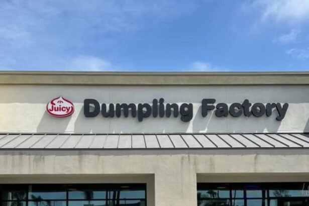 More Than a Dumpling The Story of Juicy Dumpling Factory and the Comfort of Familiar Flavor