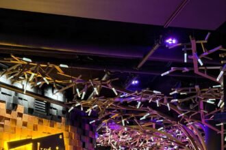 Katsin Restaurant Glendale A Night Where Fine Dining Becomes an Experience